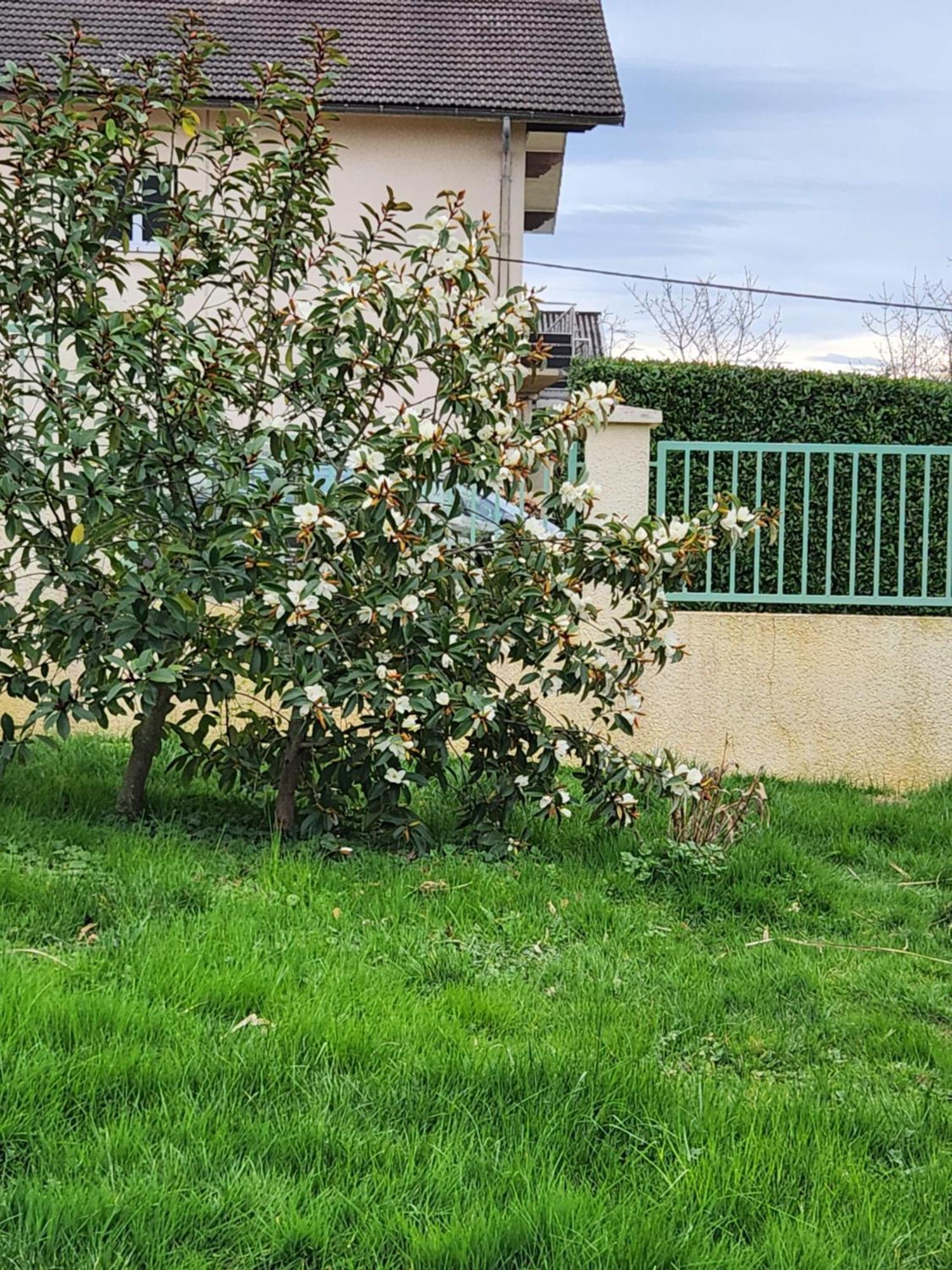 Maison De *